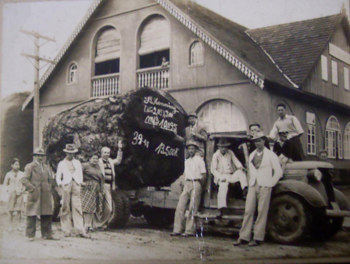 Hotel Scholze Canoinhas 外观 照片